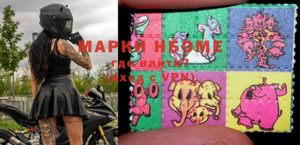 спайс Няндома