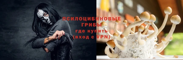спайс Няндома