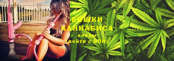 спайс Няндома