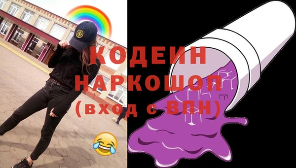 спайс Няндома
