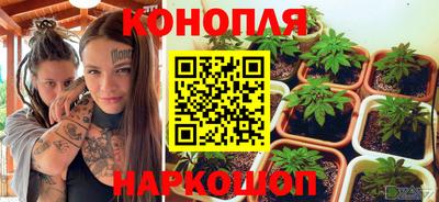 мяу мяу мука Азнакаево