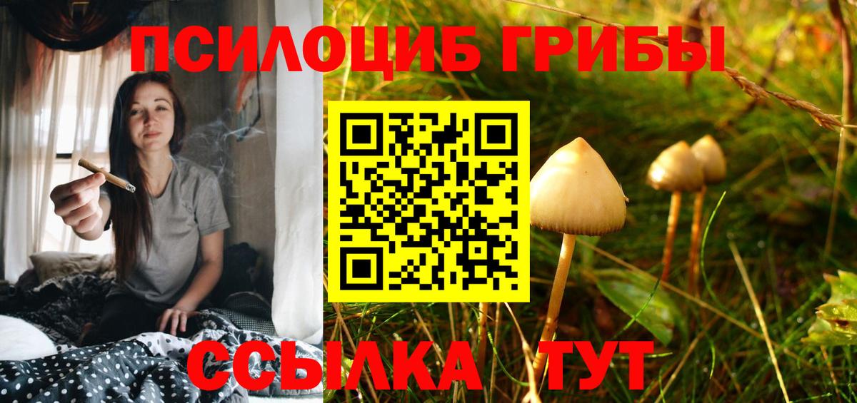 Псилоцибиновые грибы MAGIC MUSHROOMS  наркота  Псилоцибиновые грибы Psilocybe  Нягань  Вход с VPN 